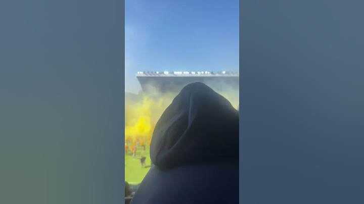 Dynamo Dresden fans pitch invasion at match against SV Waldhof