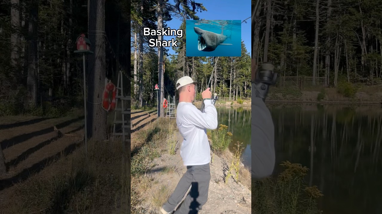 How Fish Bite According To Their Size! #fishing #fish #funny #outdoors