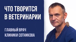 Кто контролирует ветклиники и кому жаловаться на ветеринара | Вопросы о ветеринарии России и мира