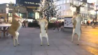 Merry Xmas1