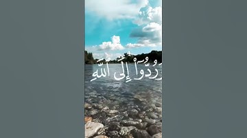 تلاوة مؤثرة للآية ﴿هناك تبلوا كل نفس ما أسلفت﴾ | القارئ إسلام صبحي 🎙️