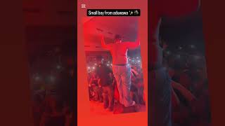 Biggie fx performance