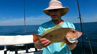 Catching triggerfish, lane snapper and getting boarded offshore on 3-7-24 in Panama City, part 1.