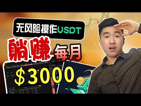   爆賺祕密 每月躺賺3000美金 零風險操作USDT套利 使用穩定幣USDT USDC BUSD對敲 低門檻賺錢致富 Secret Of Earning 3000 Month Lying Down