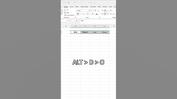 เทคนิคใส่ข้อมูลแบบมือโปร ด้วย Data Form Excel #iwasjame  #excel #excelpro