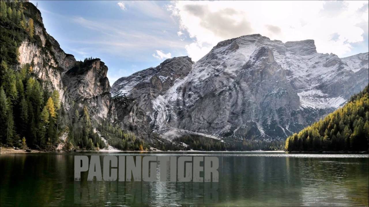 Pacing Tiger - I'm Tired