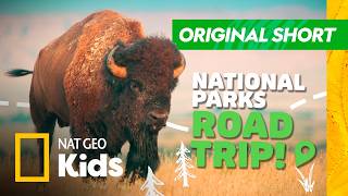 wildest animals america s national parks nat geo kids