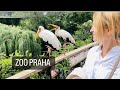 ЗООПАРК:В МИРЕ ЖИВОТНЫХ 🐠ANIMALS🦛ZOO PRAHA 2022#зоопарк #zooanimals #животные#zoopraha#pražskázoo