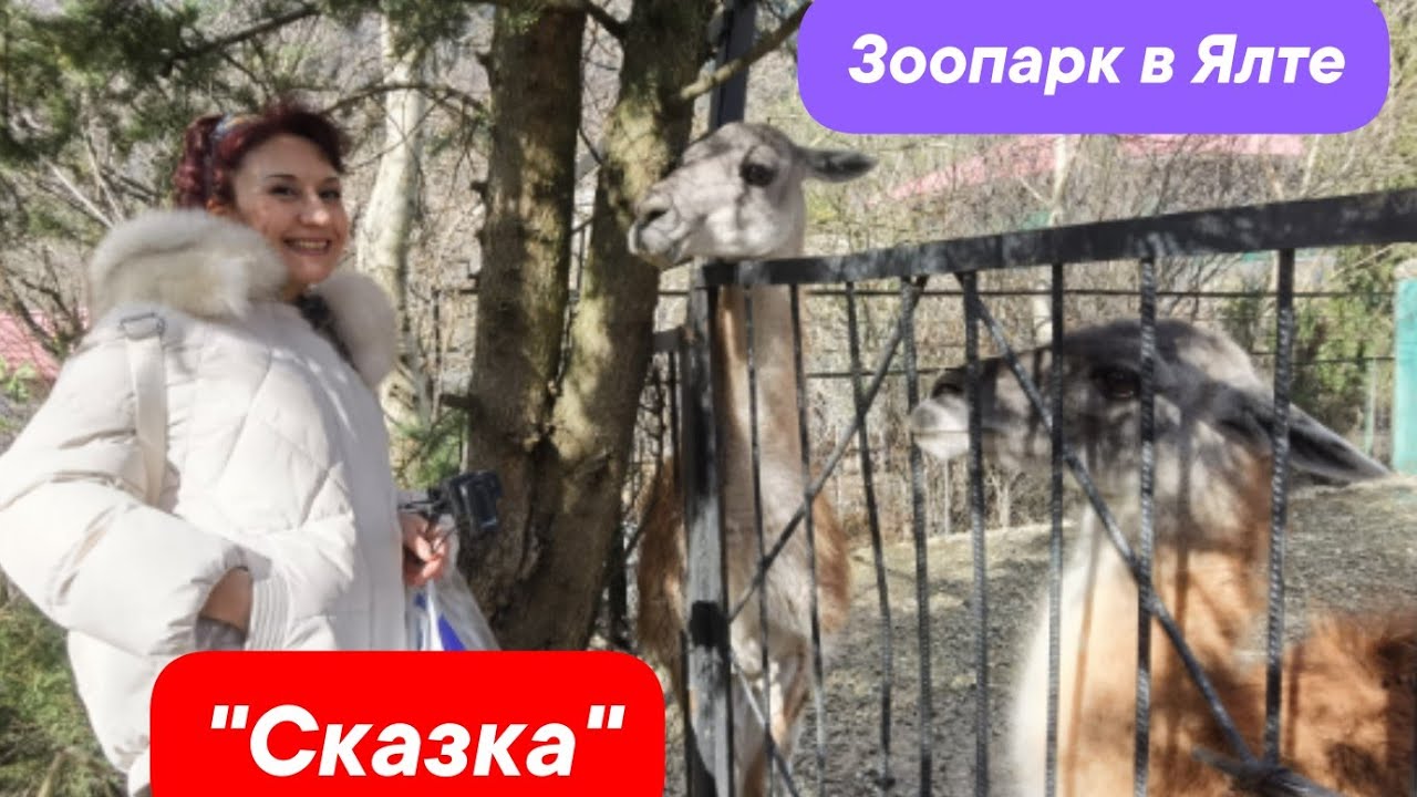 Зоопарк Олега Зубкова в Ялте. Мы в ШОКЕ... от ВОСТОРГА!!! 