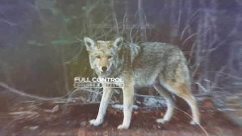 Epic Slideshow Opener-After Effects Template Videohive