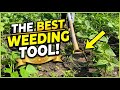 The Best Weeding Tool