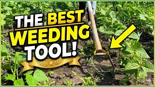 The Best Weeding Tool