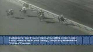 Reel News Aqueduct Metro Handicap 1967