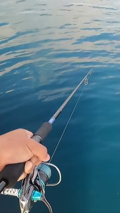 釣りいろは