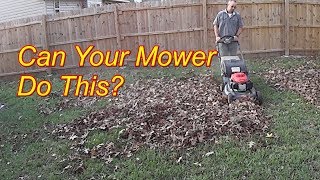 Cutting Grass  Fall Clean Up  Bagging a lot of Leaves with Honda HRX217