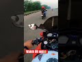 😱😱CBR Fireblade flyby 😰😱 SUPERBIKES IN INDIA🇮🇳😍❤️ #automobile #trending #shorts #short