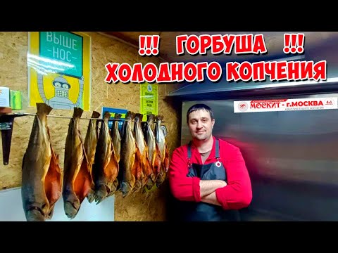 ГОРБУША ХОЛОДНОГО КОПЧЕНИЯ В МОЕЙ КОПТИЛОЧКЕ ОТ КОМПАНИИ МОСКИТ 😊🤝