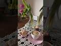 #vitange #coffee #nostalgia #ceramic #goodmorning