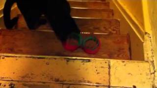 Count v. Slinky, round 2