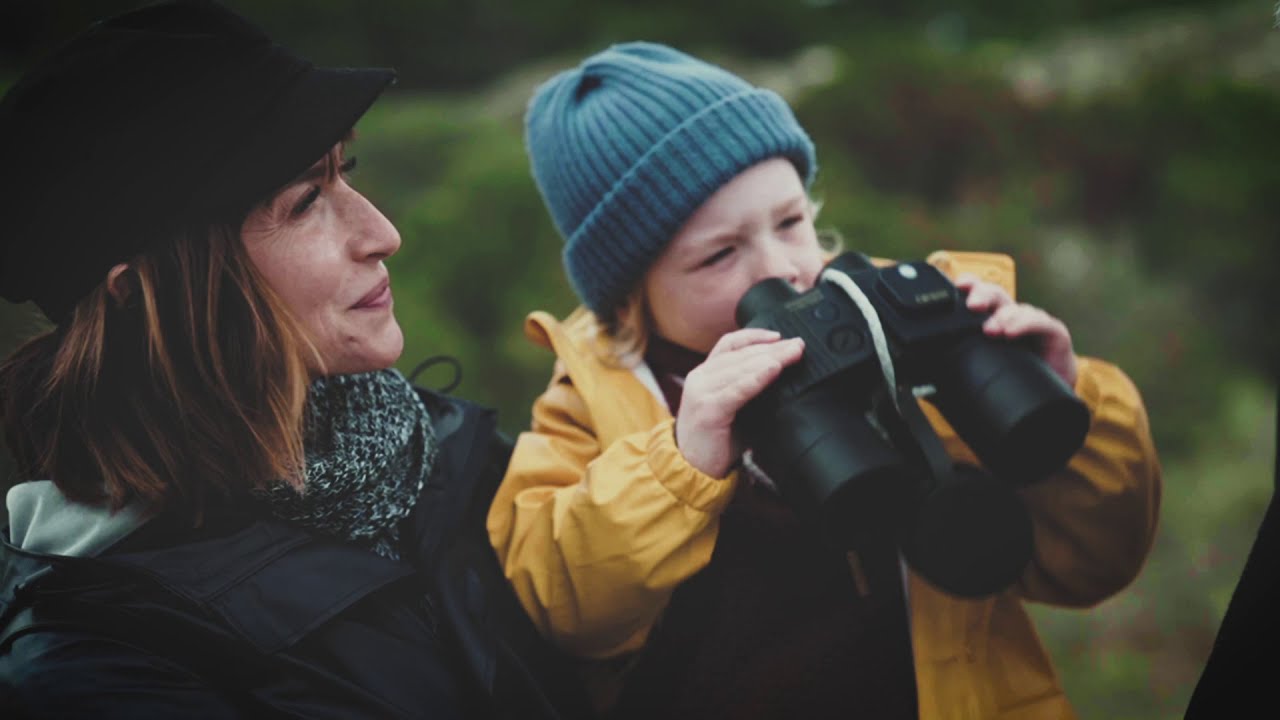 Nordsee Roadtrip: Dithmarschen
