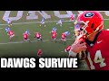 DAWGS WIN | Ole Miss Rebels vs. Georgia Bulldogs Highlight Reaction!