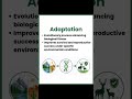 Adaptation Explained 🌍 | UGC NET &amp; MSc Environmental Science
