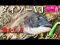 あのコスパ最強ルアー、ヒットの瞬間はこれだ…！使い方とセッティングに注意点も。