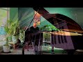 🌧️🎹 Laughter in the Rain – Neil Sedaka | Piano Romántico por Juan Velázquez ☔