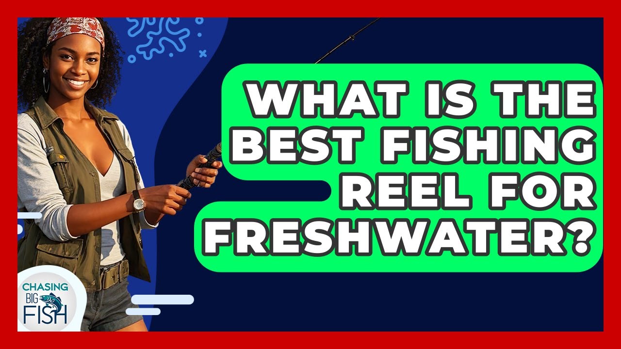 What Is The Best Fishing Reel For Freshwater? - Chasing Big Fish