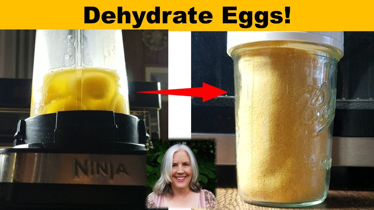 How To Dehydrate Eggs In A Food Dehydrator | Add Dehydrated Eggs To Your Prepper Pantry Food Storage