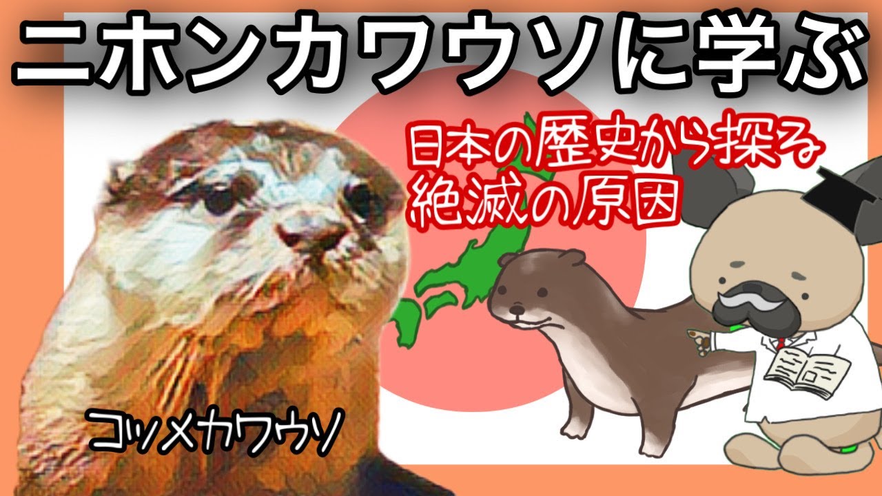 ニホンカワウソに学ぶ 日本の歴史から探る絶滅の原因 Why The Japanese River Otter Disappeared Youtube ニホンカワウソに学ぶ 日本の歴史から探る絶滅の原因 Why The Japanese River Otter Disappeared Youtube