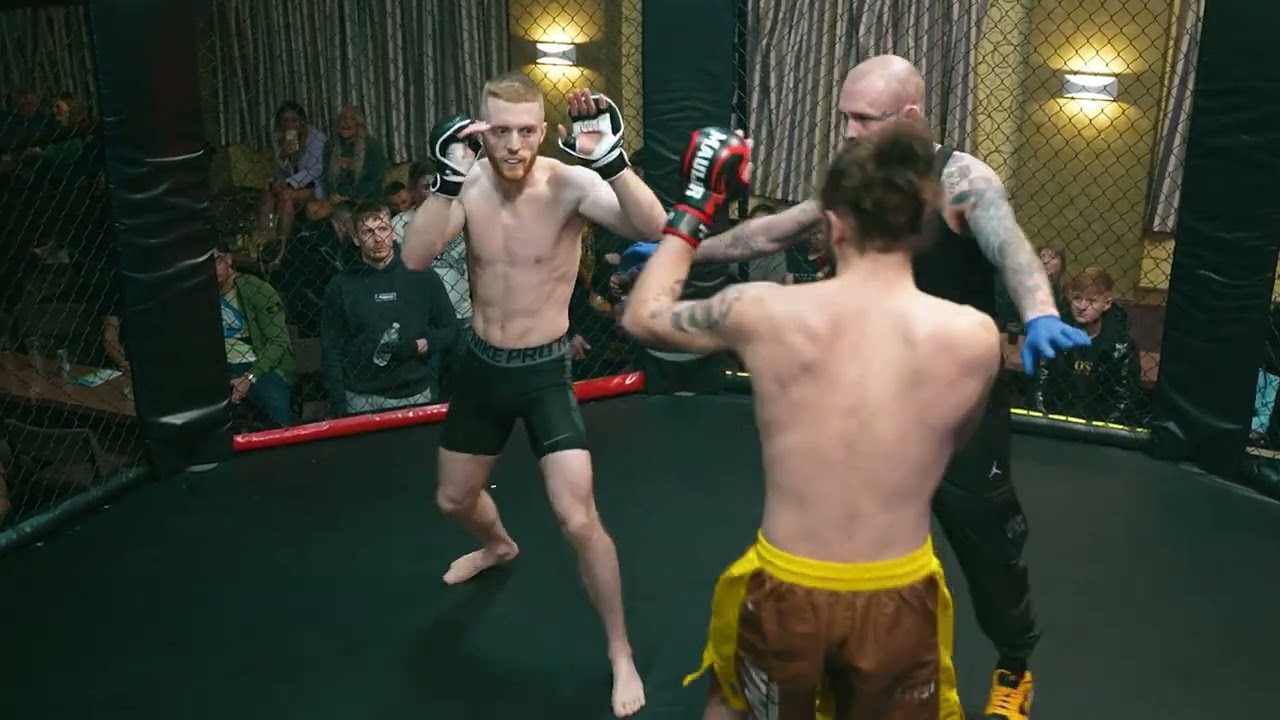 FightFest 18 | Steve Cunningham VS Josh Vogel