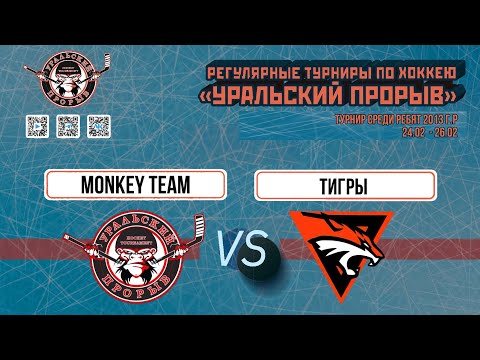 26.02.2024 2024-02-26 Monkey Team (2013) (Екатеринбург) - Тигры (2013) (Краснодар). Прямая трансляция