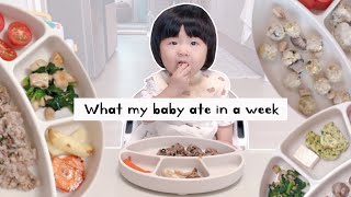 10개월 아기 일주일 식단 공개 What my baby ate in a week #자기주도이유식 #blw #후기이유식 #육아브이로그
