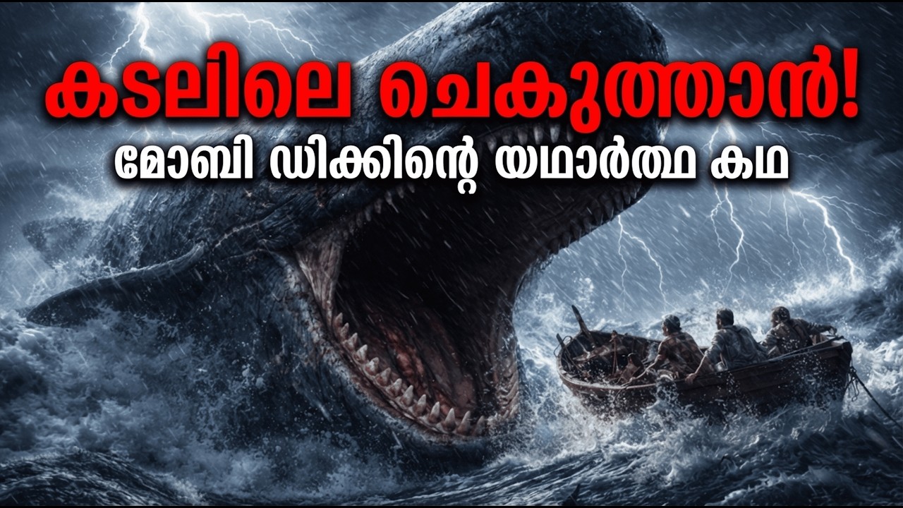മഹാസമുദ്രത്തിലെ ഭീകരൻ! 😱 എസെക്സ് കപ്പലിന്റെ ദുരന്ത കഥ | Whaleship Essex | IRULBEATS