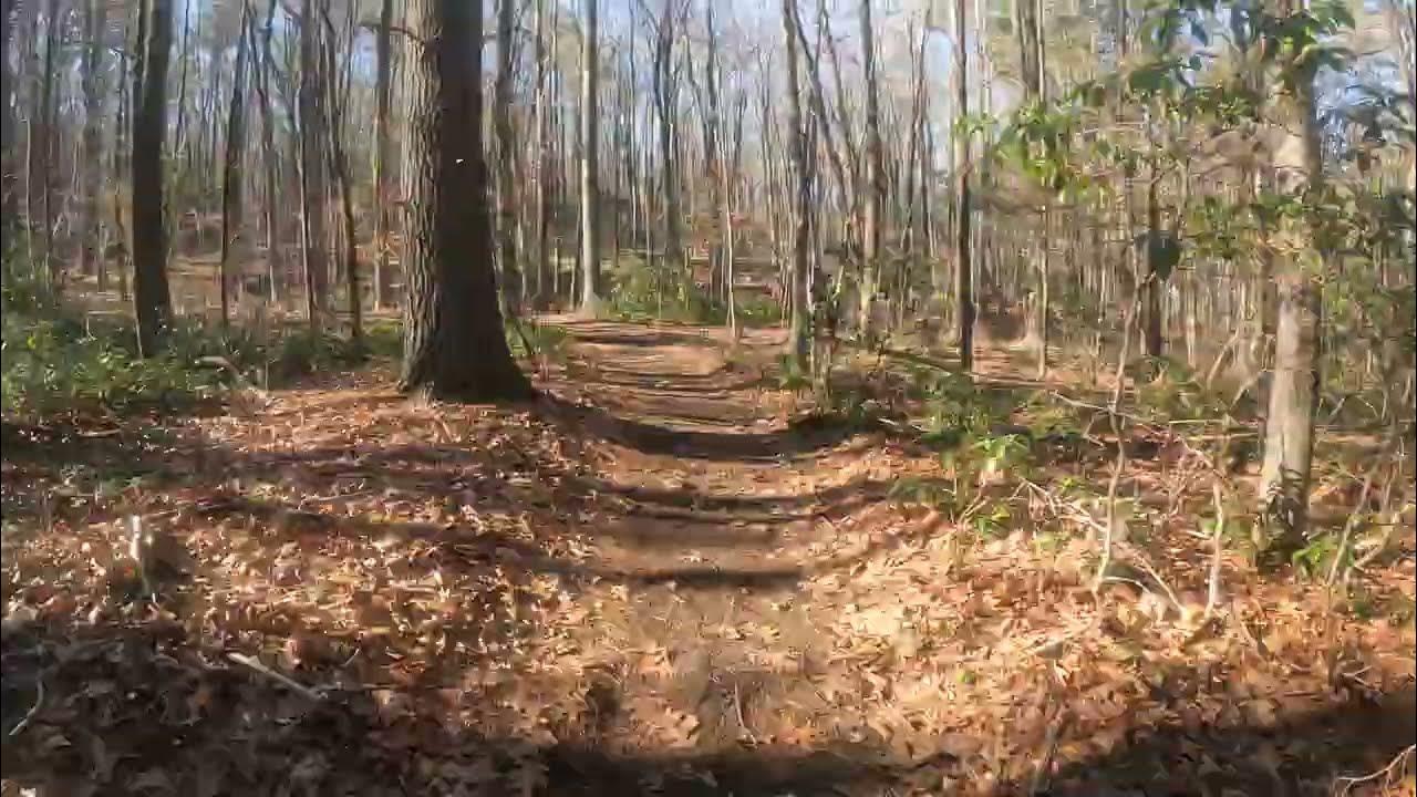 Sturbridge MA Riverlands MTB Flow Trail 1 Walkup YouTube