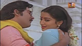 Jail Pakshi Movie Songs ||మనసంతా ప్రేమ|| మెలోడీ సాంగ్|| శోభన్ బాబు|| సుహాసిని || ట్రెండ్జ్ తెలుగు
