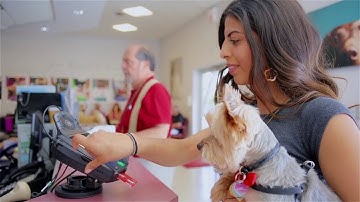 Credit card processing review from a PayJunction customer, Animal Specialty Group