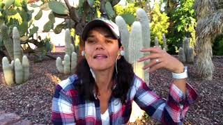 This 5 letter word means EVERYTHING to you (whether you know it or not)