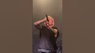 Thumbnail of Paleface Swiss - Nail To The Tooth Live