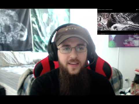 APPRECIATE THE VISUALS! - HUMANITY'S LAST BREATH "Dehumanize" - REACTION / REVIEW