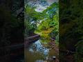 Nature #kerala #travel #nature #naturelovers #reels