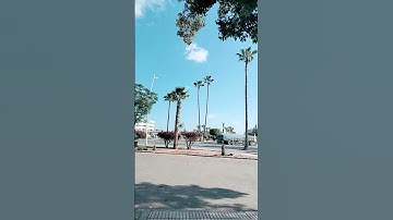 ما تيسر من سورة الرحمن بصوت الشيخ ماهر المعيقلي #القرآن_الكريم #المصحف #اكسبلور #الرحمن