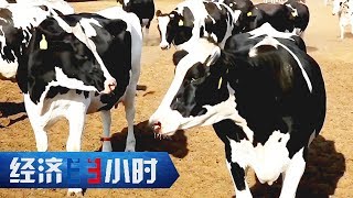 《经济半小时》 20171016 中国经济新坐标：荒漠“掘金” | CCTV