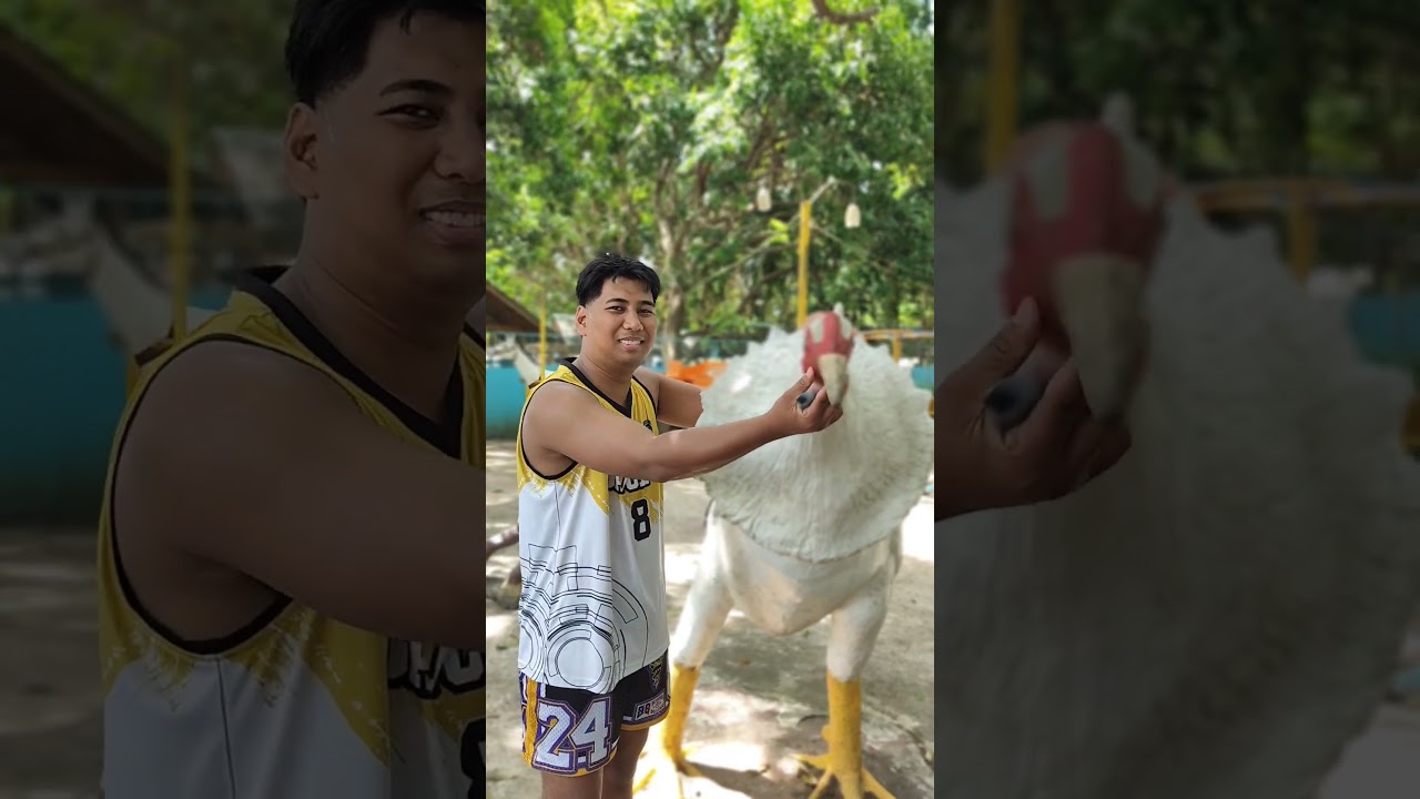 slot ide SABONG
