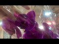 Цветочная база JMP 🌸 обзор орхидей 04.07.22 🌼 Москва ул Красная сосна д2а