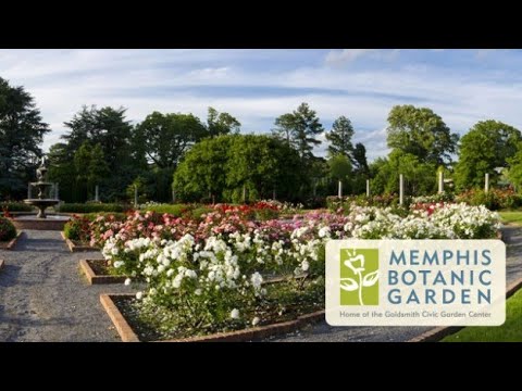 Memphis Botanic Garden Youtube