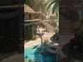 Guess Where [016] #guesswhere #relax #music #animate #reallife