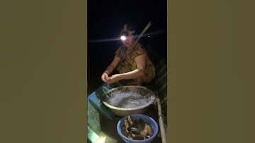 Lưới đêm dính toàn cá rô mề #ymientay #mientay #shorts