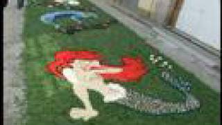 Ares: alfombras florales 2008